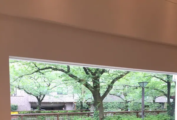 Jaho Coffee at Plain Peopleの写真・動画_image_133059