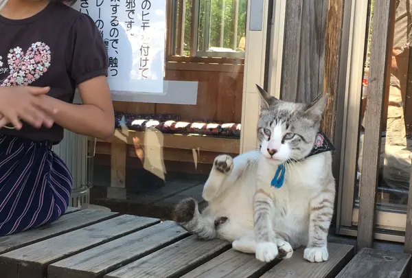 御誕生寺の写真・動画_image_133066