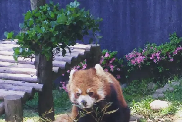 西山公園の写真・動画_image_133125