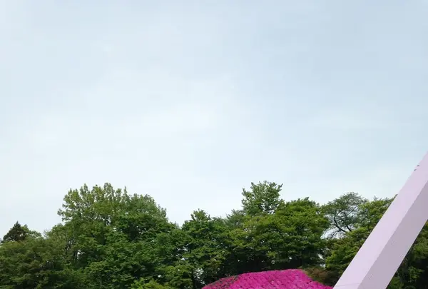 西山公園の写真・動画_image_133126