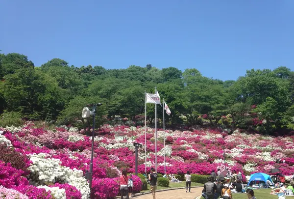 西山公園の写真・動画_image_133127