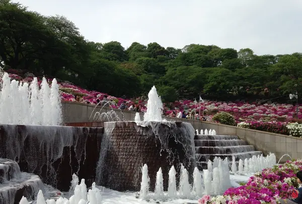 西山公園の写真・動画_image_133128