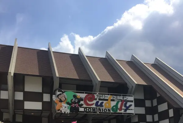 阿蘇カドリー・ドミニオンの写真・動画_image_133319