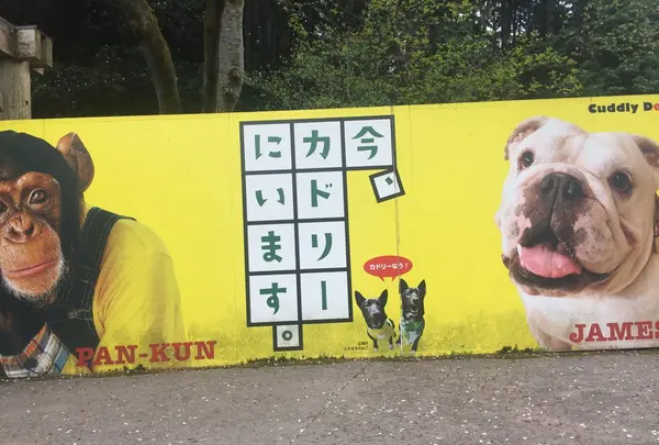 阿蘇カドリー・ドミニオンの写真・動画_image_133324