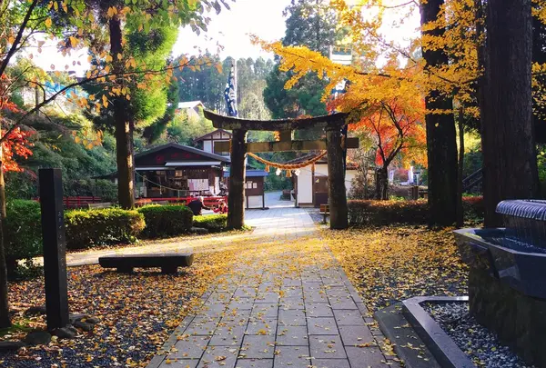 白川水源の写真・動画_image_133331