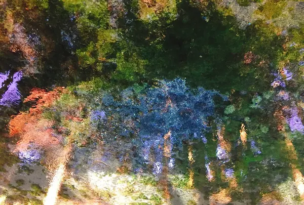 白川水源の写真・動画_image_133335