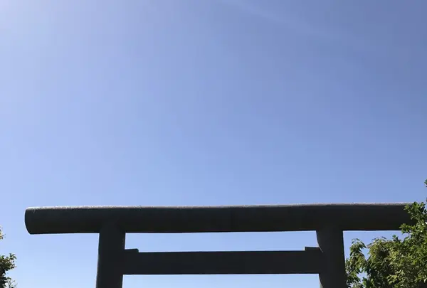 洲崎神社の写真・動画_image_133497