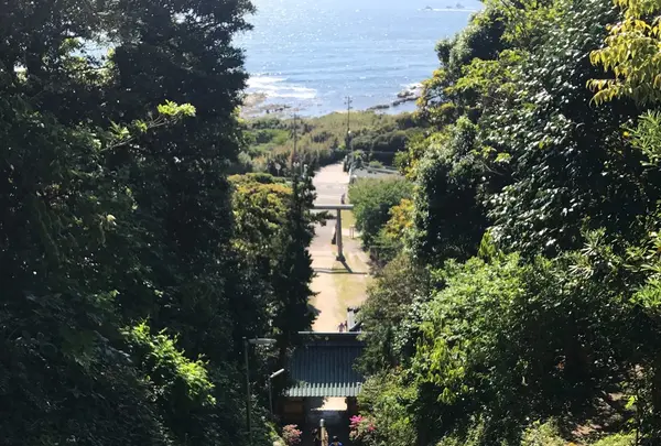 洲崎神社の写真・動画_image_133504