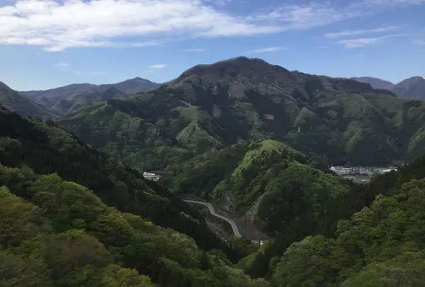 上野スカイブリッジの写真・動画_image_133547