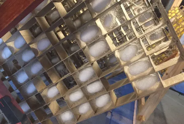 富岡製糸場の写真・動画_image_133555