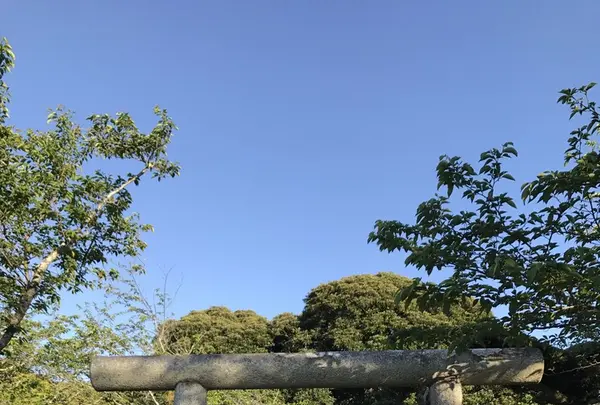 館山城（八犬伝博物館）の写真・動画_image_133571