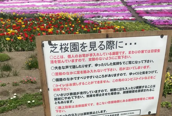 札苅芝桜園の写真・動画_image_133583