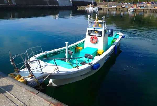 矢越クルーズ(矢越海岸アドベンチャーズのりば)の写真・動画_image_133594