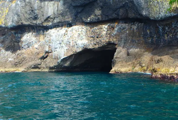 矢越クルーズ(矢越海岸アドベンチャーズのりば)の写真・動画_image_133596