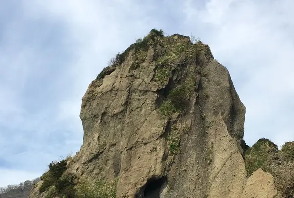 矢越クルーズ(矢越海岸アドベンチャーズのりば)の写真・動画_image_133599