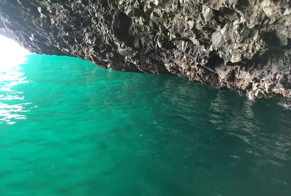 矢越クルーズ(矢越海岸アドベンチャーズのりば)の写真・動画_image_133600