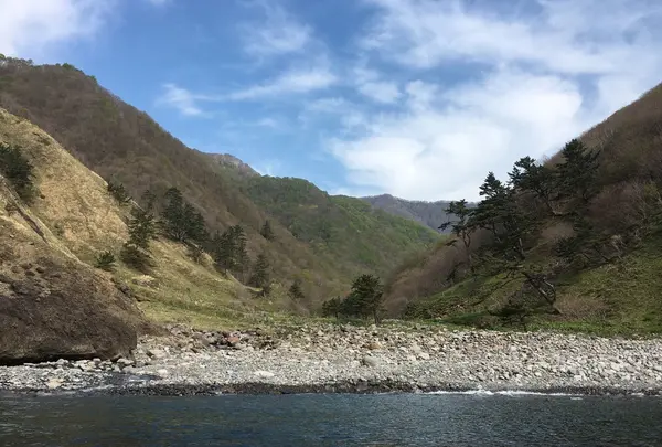 矢越クルーズ(矢越海岸アドベンチャーズのりば)の写真・動画_image_133604