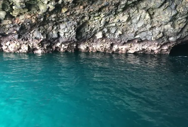 矢越クルーズ(矢越海岸アドベンチャーズのりば)の写真・動画_image_133605