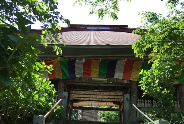 長谷寺の写真・動画_image_133614