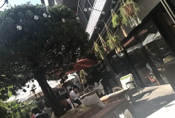 ブレントウッドテラス （BRENTWOOD TERRACE）の写真・動画_image_133666