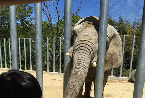 しろとり動物園の写真・動画_image_133756