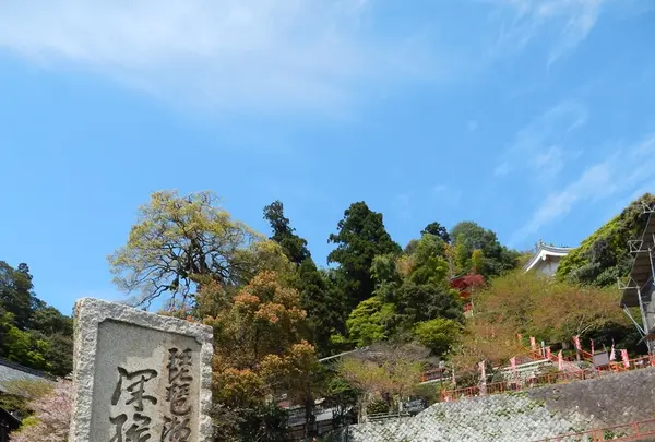 竹生島の写真・動画_image_133871