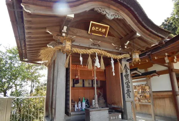 都久夫須麻神社の写真・動画_image_133909