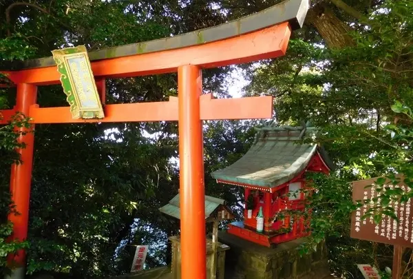 都久夫須麻神社の写真・動画_image_133918