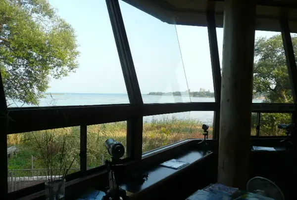 高島市新旭水鳥観察センターの写真・動画_image_133951