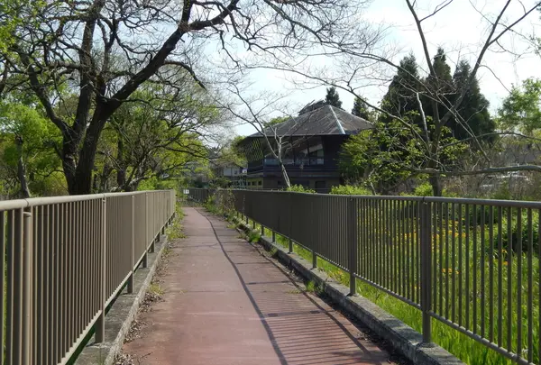 高島市新旭水鳥観察センターの写真・動画_image_133952