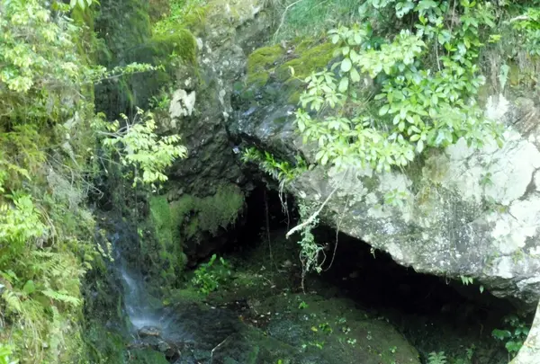 清水寺の写真・動画_image_133967