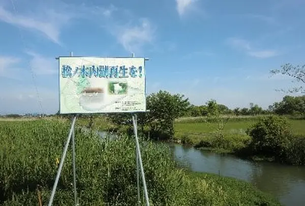 松ノ木内湖の写真・動画_image_133978