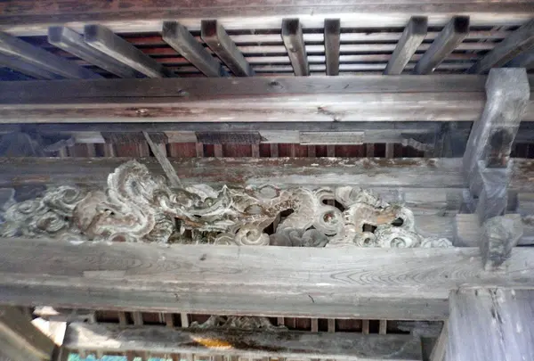 龍門寺の写真・動画_image_133980