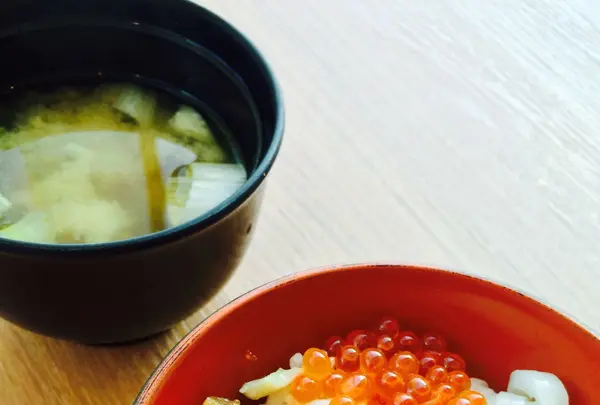 阿寒湖畔温泉 ニュー阿寒ホテルの写真・動画_image_133989