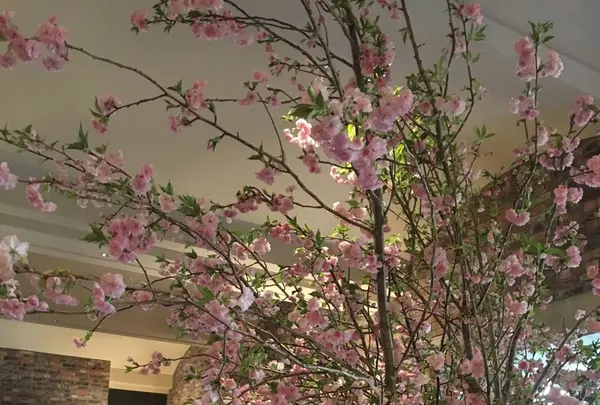 ラビスタ函館ベイの写真・動画_image_133994