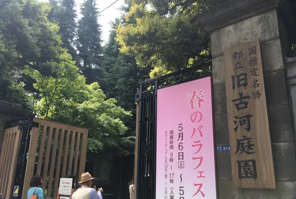 旧古河庭園の写真・動画_image_134075