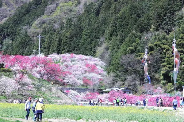 月川温泉の写真・動画_image_134097
