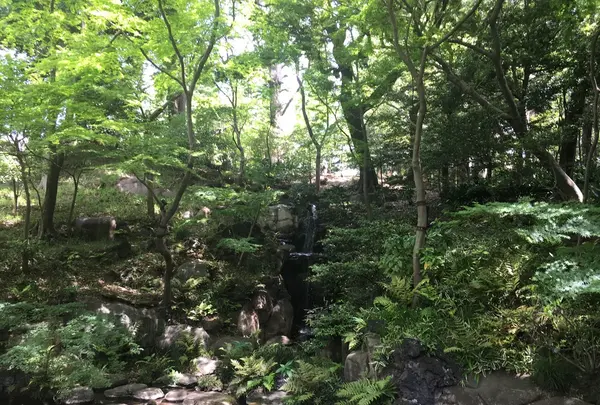 旧古河庭園の写真・動画_image_134100