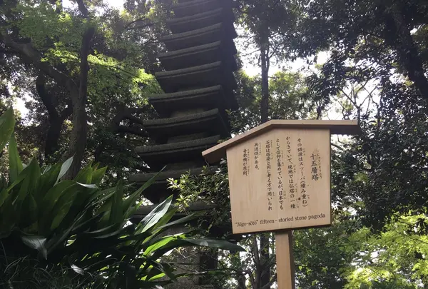 旧古河庭園の写真・動画_image_134101