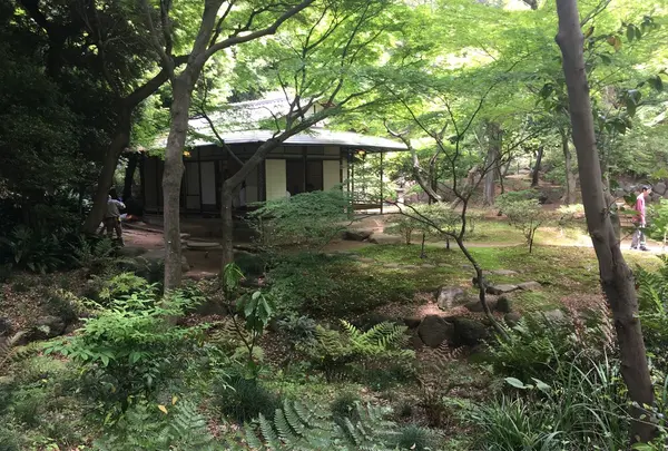 旧古河庭園の写真・動画_image_134102