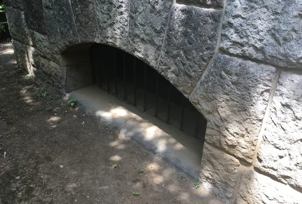 旧古河庭園の写真・動画_image_134103