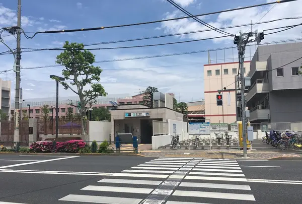 旧古河庭園の写真・動画_image_134113