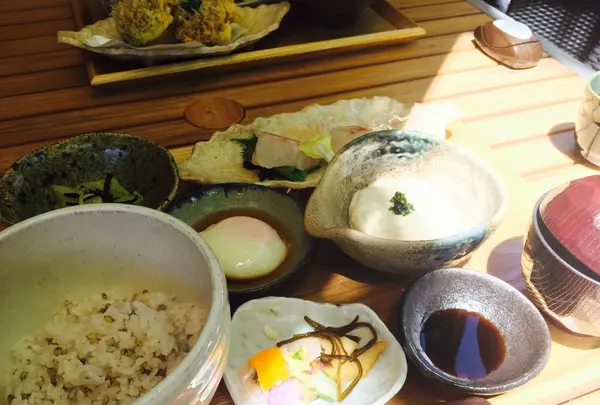 鎌倉和食 楠の木の写真・動画_image_134255