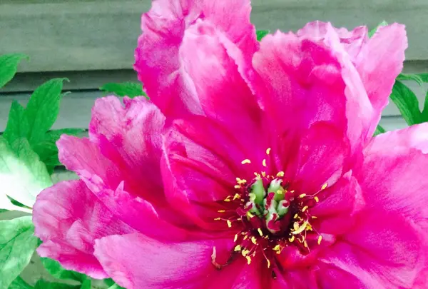 浄明寺の写真・動画_image_134263