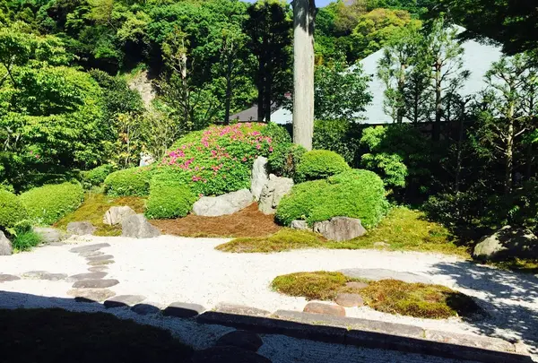 浄明寺の写真・動画_image_134265