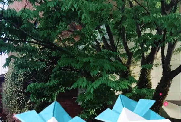 古町着物サロンの写真・動画_image_134272