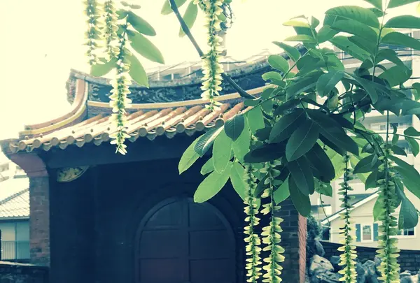 孔子廟・中国歴代博物館の写真・動画_image_134285