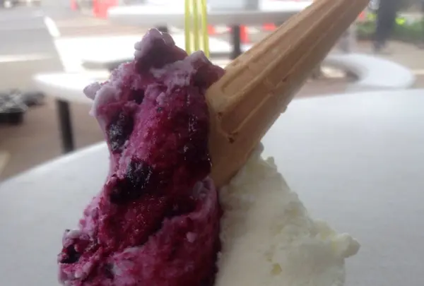 小田原牧場アイス工房の写真・動画_image_134299