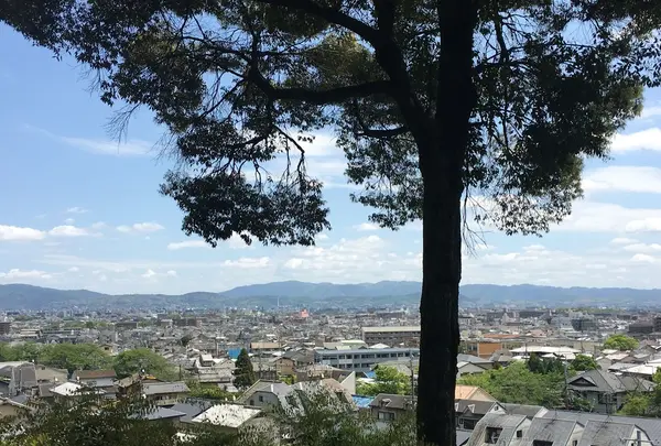 鈴虫寺（華厳寺）の写真・動画_image_134322