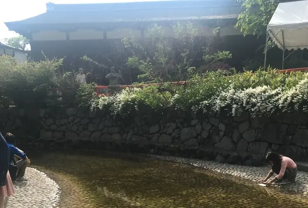 下鴨神社（賀茂御祖神社）の写真・動画_image_134331